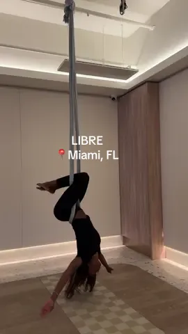 @Libre_AF was so fun! Who’s coming next time!? 🤸🏾‍♀️😍 #aerialfoundation #miami #dillydally #libre 