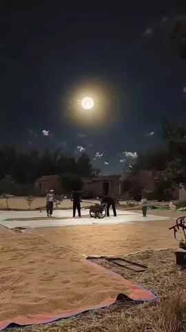 Hỏi thật: Bạn đã bao giờ cùng cả nhà làm việc xuyên đêm dưới ánh trăng chưa? #tuoitho  #tuoithotoi  #tuoitho8x9x  #tuoithodudoi 