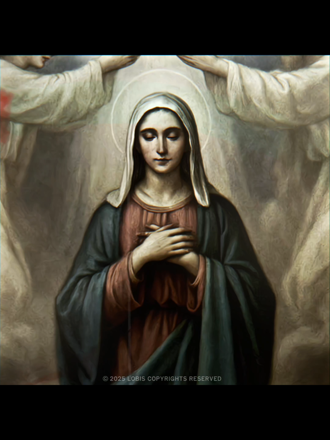 Nossa senhora Aparecida❤️ #maria#nossasenhoraaparecida#amen#viraltiktok#fyyyyyyyyyyyyyyyy 