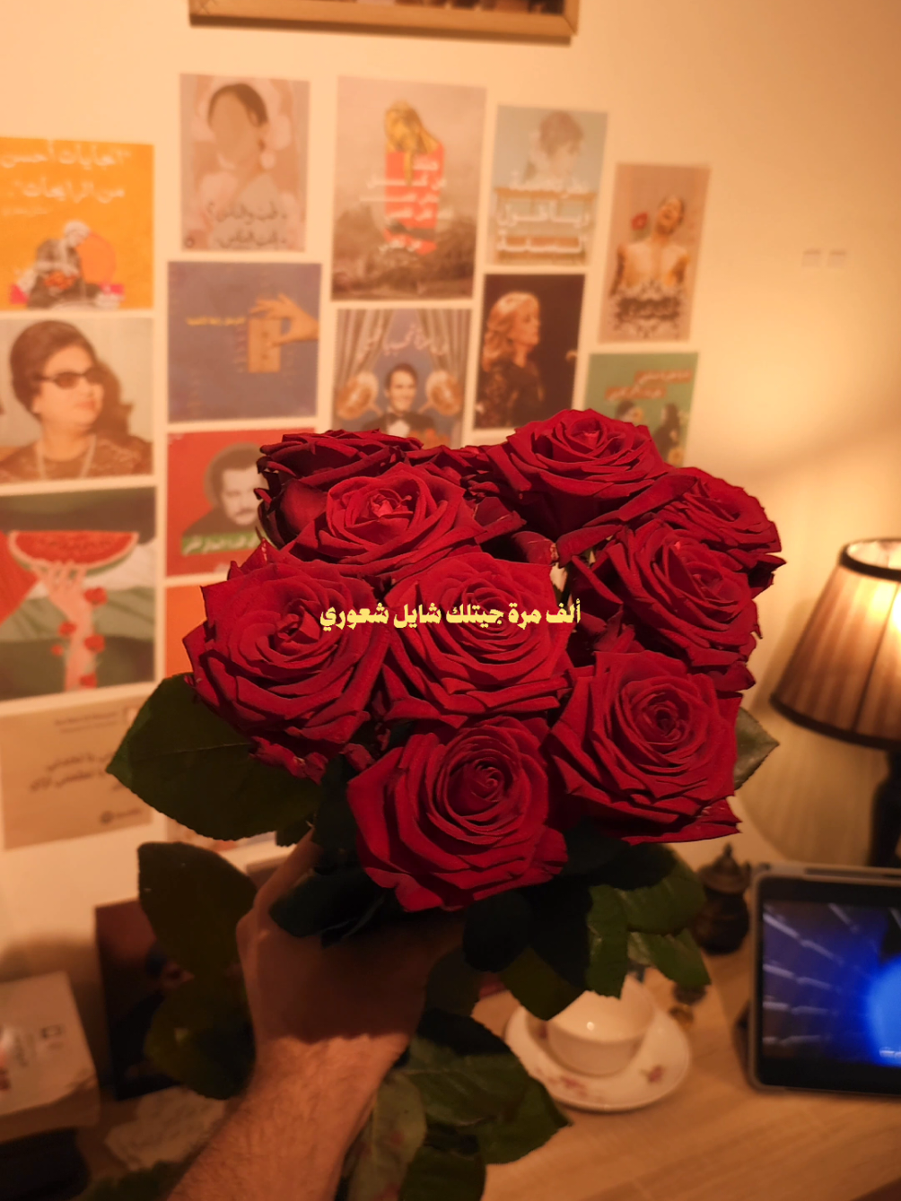 شايل شعوري ✨️