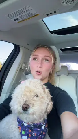 Putting her onto this song #shewouldntbegone #fyp 