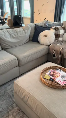 I'm not kidding when I say this is one of my best purchases this year! It's insane! 