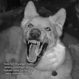 torn between loving her and hating her #fyp 