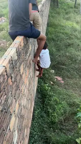 Urgente 🚨  Criança é atacada por porco Catitú ( Porco do Mato) em Governador Nunes Freire. A criança teve cortes profundos em boa parte do corpo . O mesmo foi encaminhado ao Hospital Municipal aonde recebeu atendimento médico. #blognetoweba #notícias