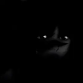 #edit #kenjaku #jjk #jujutsukaisen #fyp // @Phoenix (Theo’s husband <3) @ziggy ひ 