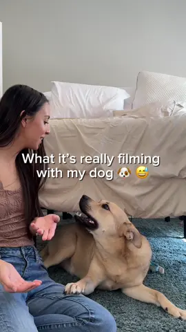 I was laughing the whole time I was editing this 😅 The final product always comes out good but behind the scenes is a different story 😅 #ugc #ugccreator #ugccommunity #contentcreator
