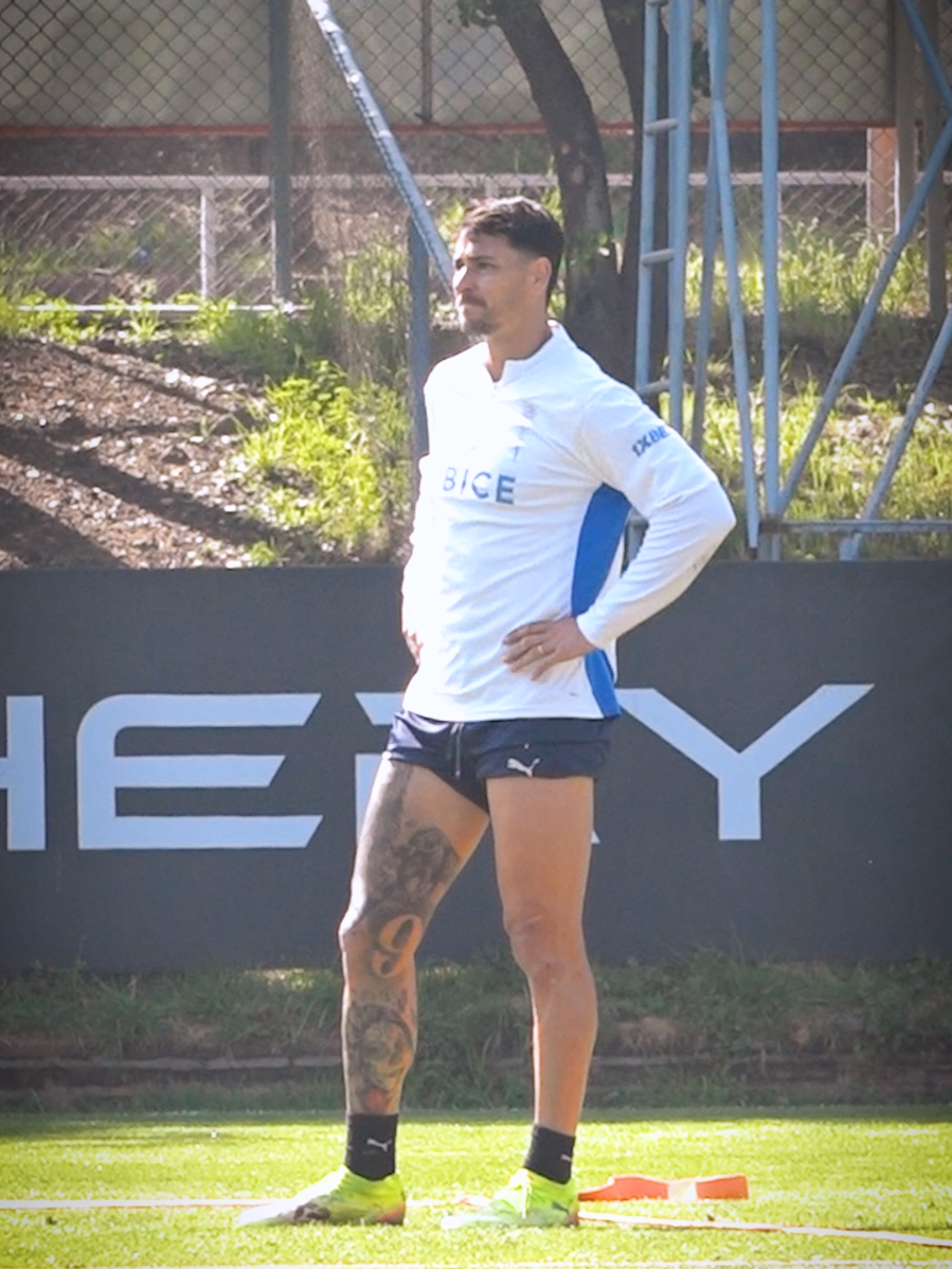 TORO 😍 #loscruzados #universidadcatolica #TikTokDeportes #fernandozampedri 