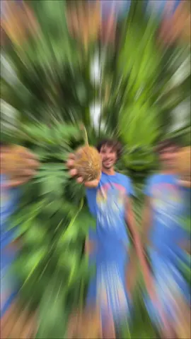 quase nenhum brasileiro já comeu essa fruta 😮 #fruta #pão #colheita 