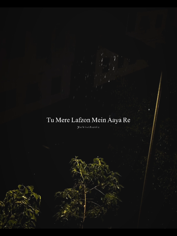 humsafar from saiyyara💝🕊 #capcut #viral #foryou #nehisthethic #lyrics_songs 