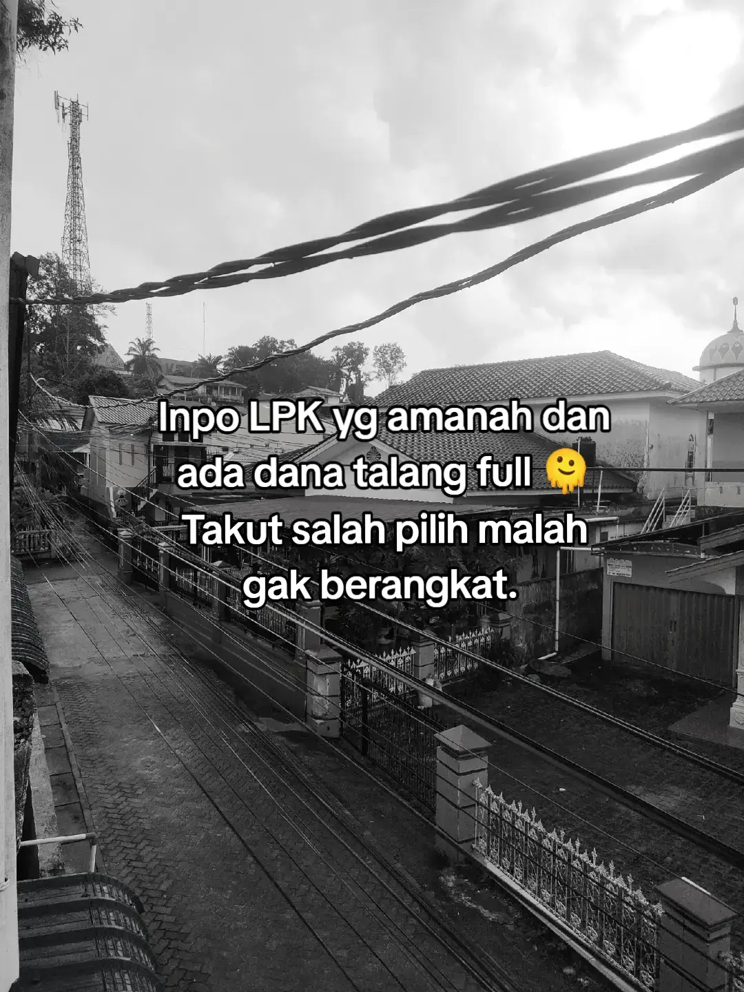 Udah bingung sekali rasanya