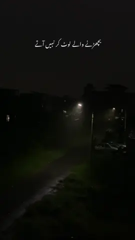 NFAK #fyp #foryou #NFAK #nfak_lines #tiktokpakistan 