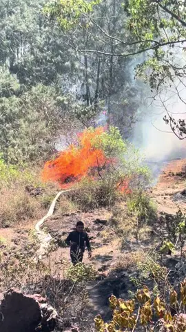Kebakaran di Gunung batur hari rabu bali kemarin#bali 