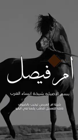 شيلة ام فيصل 2025 شيلة مدح ام العريس باسم ام فيصل شيلة ترحيب بالضيوف #شيلات_مدح_شيلات_تباريك_شيلات_زواج #السعودية_الكويت_الإمارات_قطر #شيلات_روعه_خواطر_ذوق #fyppppppppppppppppppppppp  #السعودية_الكويت_الإمارات_قطر 