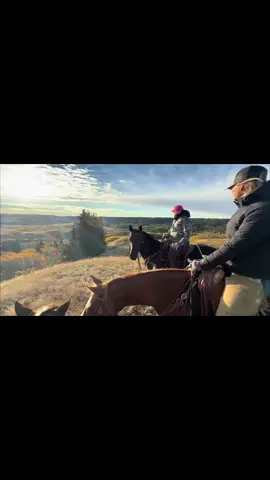 Fall round up #twocranching #fall #cowboys #horses #cattle #cypresshills #fallroundup 