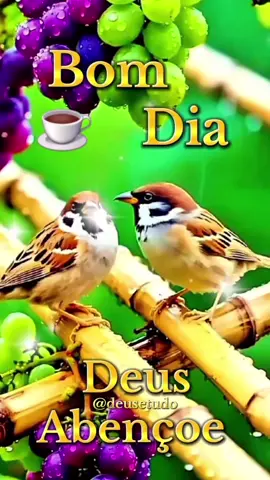 #deusetudo  #deus #motivacional  #motivacao  #bomdia 