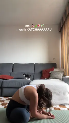 Yoga with a kitten be like 🤍 #kitten #yoga #yogawithcat 