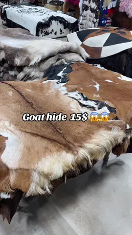 Only in store ‼️‼️ 11220 Harry Hines Blvd Dallas, TX  75229 United States #fyp #goat #hide #westerndecor #cowhide #decor 