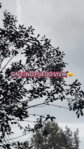 Sin ti no puedo vivir. 😫❤️🥹 Etiquétal@.  Mandasel@  #amor #dedicaselo #vallenatos #enamorados #parati
