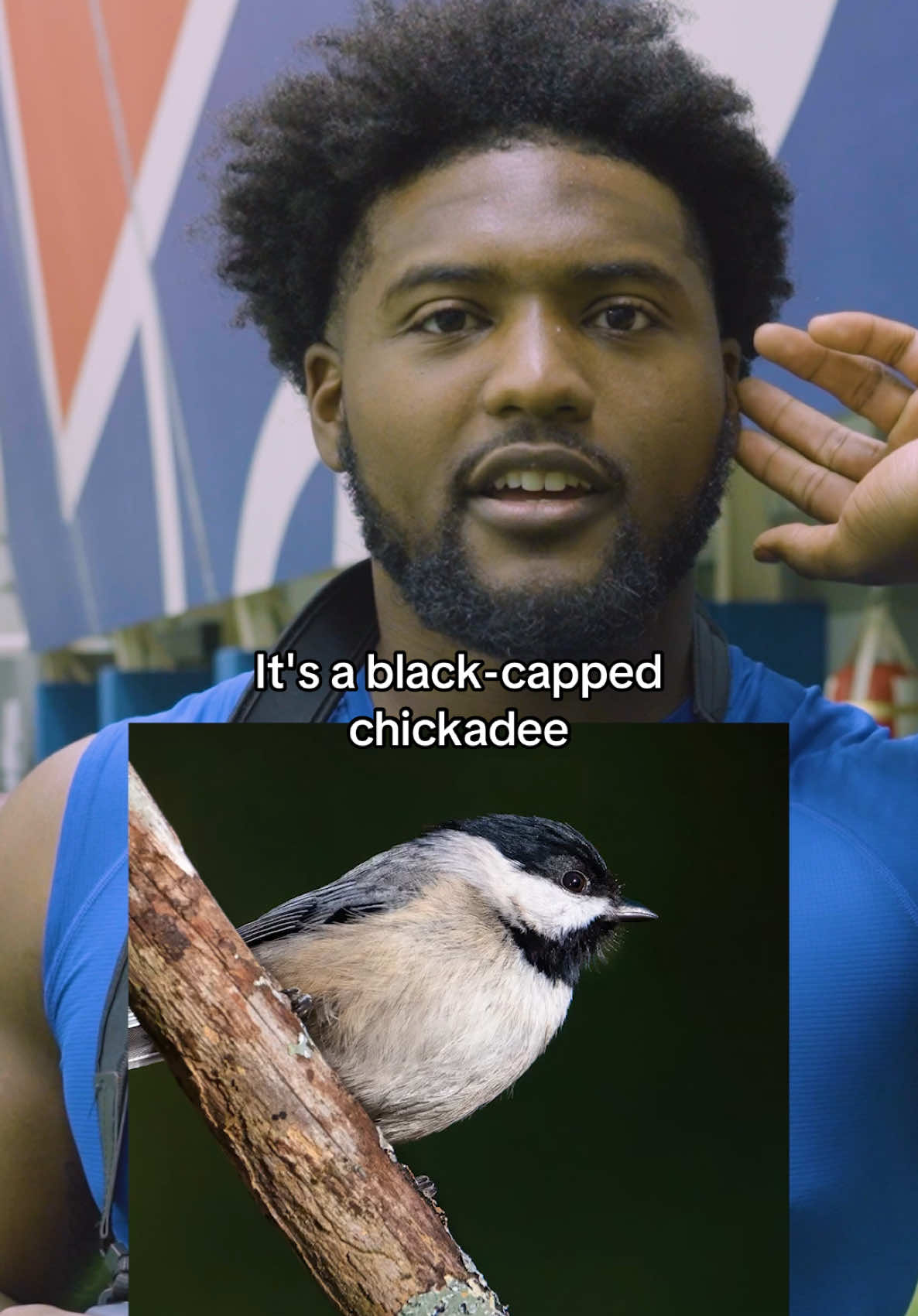 Ornithology is all about the process. #nfl #birds #ornithology #learning 