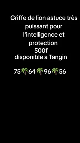 Griffe de lion astuce très puissant pour l'intelligence et protection et qui soigne plusieurs maladies#griffedelion#inteligenceetprotection#sante#pourtoi#burkinatiktok🇧🇫🇧🇫🇧🇫❤️ 