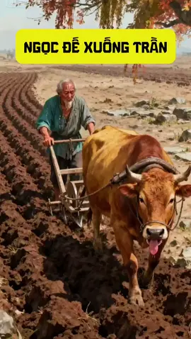 Truyện dân gian : Ngọc Đế xuống trần #kechuyen #xuhuong #truyenngan #truyencotich #truyendangian 