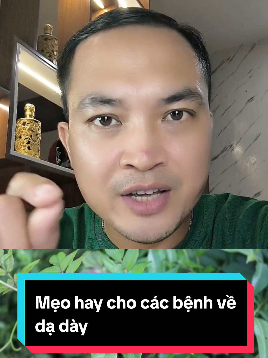Lá chè dây - thần dược cho dạ dày! #xuhuong #trending #affiliate #meodangian #trandongsuckhoe 