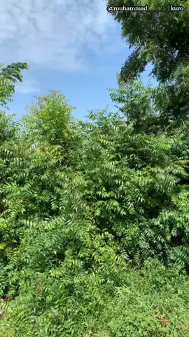 Am back 😅💔 #treedingreels #viralvideos #kano #kaduna #abuja #arewa #nigeria @MANAGER_____JR @Arewa Blog @🫶🏻“BAKON DOLE”🫶🏻 @DirectorTJ 