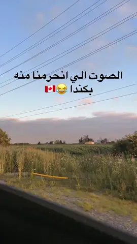 الصوت الي انحرمنا منه بكندا😂😂🇨🇦#الشعب_الصيني_ماله_حل😂😂 #fyp #canada #ترند #اكسبلورexplore #canada_life🇨🇦 #غربه #mississuaga 