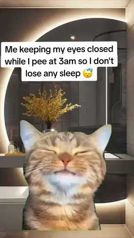 #memestiktok #relatable #funnytiktok #memeoftheday  #fyp 