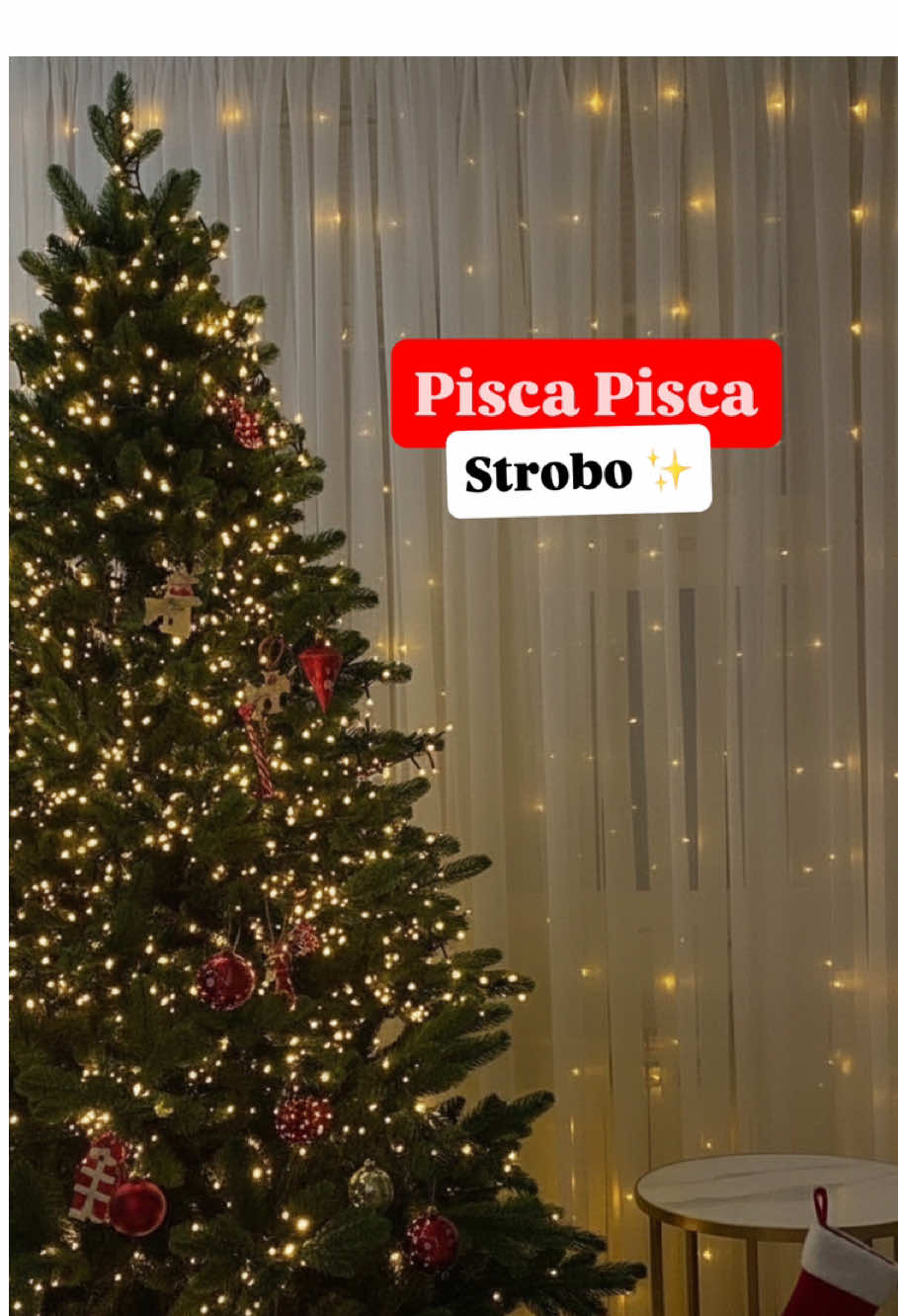 Pisca pisca mais falado do momento! Corre no link da bio ID AGD-BZW-BMZ  ✨ #natal2025 #decoracaodenatal #piscapiscadenatal #natalshopee 