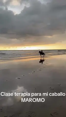 #caballospre #andaluz #playa #corinto #pasocaballo