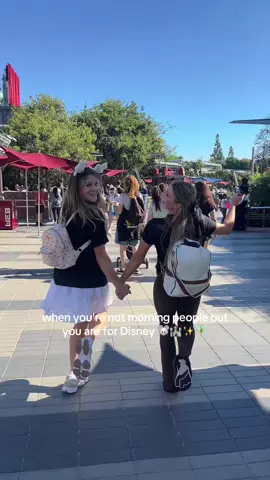 @Chrissyyy 🧚🏻✨🐭🏰 #disney #disneyland #morningperson #disneyhack 