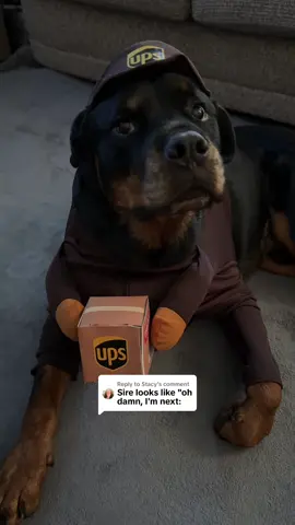 Replying to @Stacy Sire