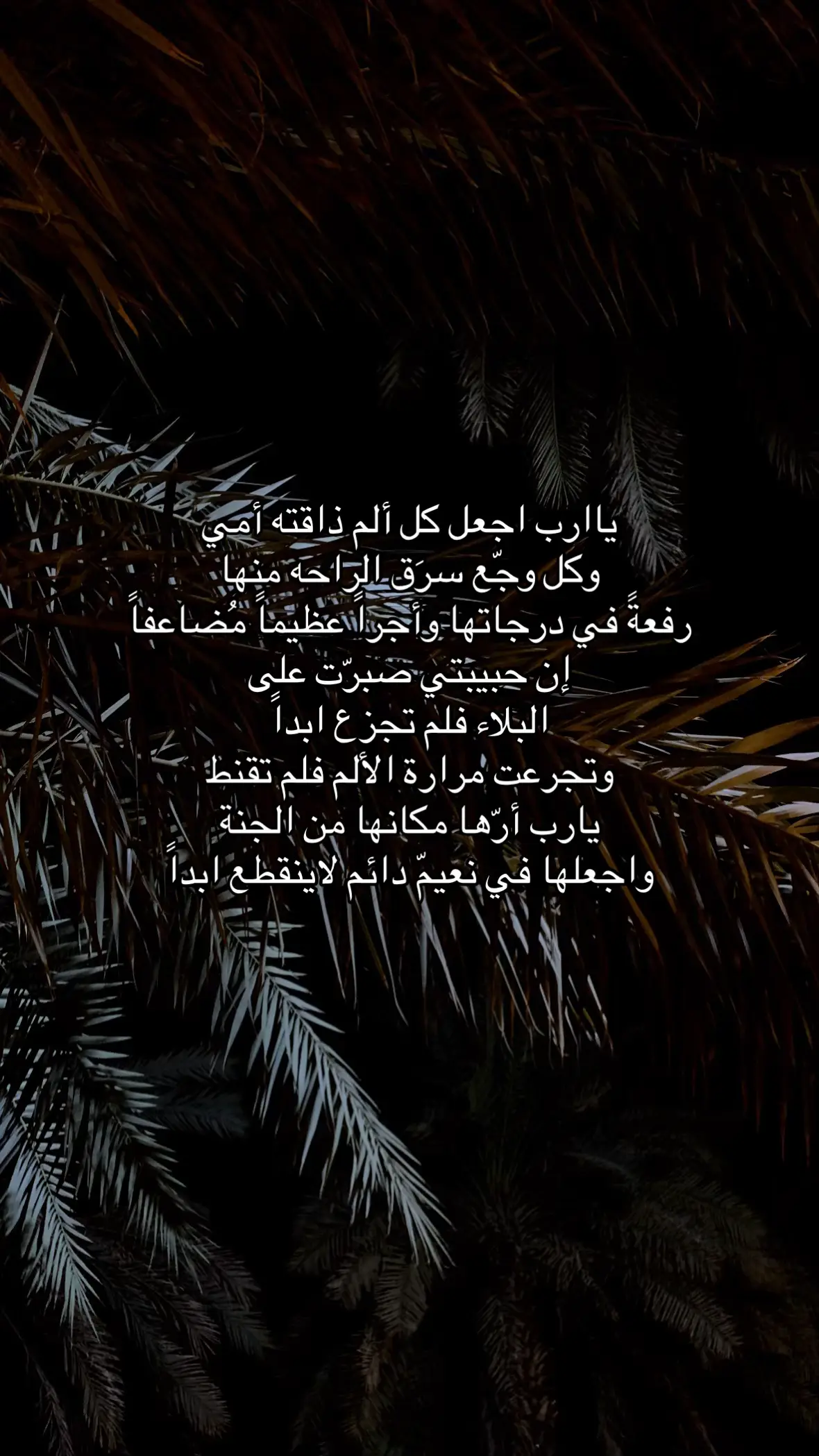#رحمك_الله_يا_فقيدة_قلبي #صدقه_جاريه_لفقيدتي #foryou #الله_يرحمك_ويجعل_مثواك_الجنه_يارب #fyp 