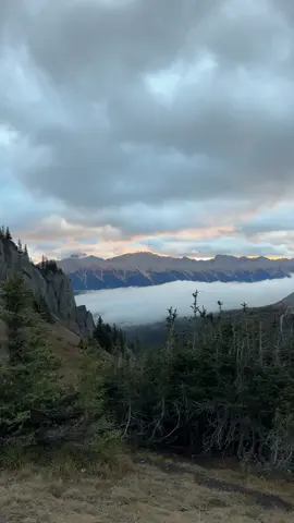 Id wake up at 2am any day just to see this #Hiking #kananaskis #mountains #fy #foryou @anna panchyshyn @Ruby Faith 