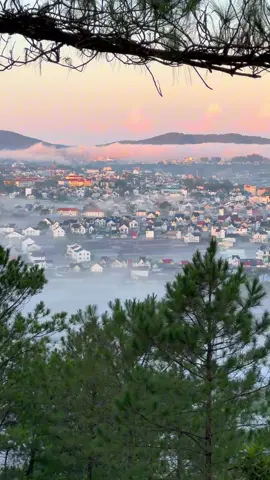 Đà Lạt sáng nay kiểu… #dalat #đàlạt #chill #canhdep 