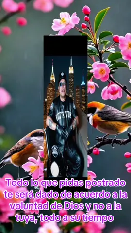 # Está en camino lo que pediste #