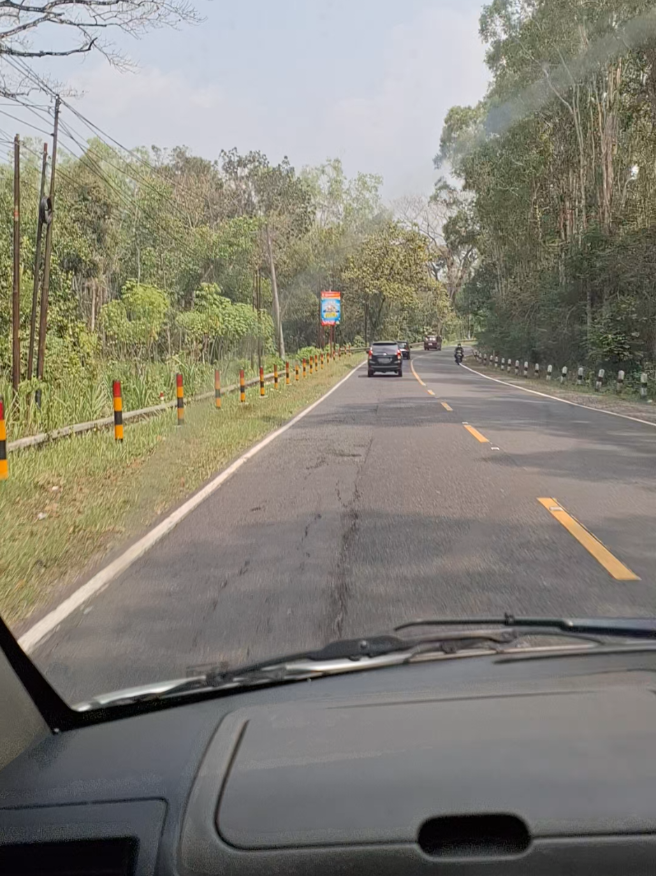 mz kin kin 1699 selamat pagi semua selamat ber aktifitas smoga lancar & sukses selalu #TAHURA Taman Hutan Rakyat #Gunungkidul  Yogyakarta #DIY 