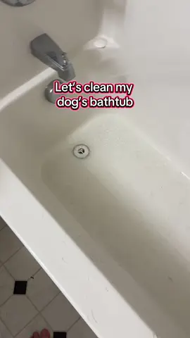 Cleaning my dogs bathtub #electricspinscrubber #spinscrubber #scrubberbrush #electricbrush 