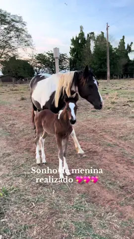 Era meu sonhooooo 🥹🥹 #potrinho#cavalo#penthorse#fy#fypシ゚viral 