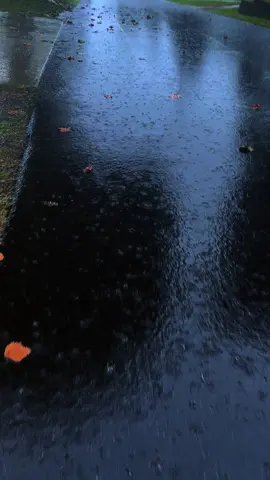 Best walks are in the rain #fyp #rain #fall #fypシ 