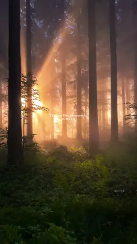 #Dios #creación #tu #cristianotiktok #mundo 