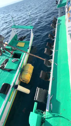 #alhamdulillah❤️  #nttpride🏝🔥kupangntt💯  #selaludalamlindunganallah  #KMN  #THEPANZER💛💚 