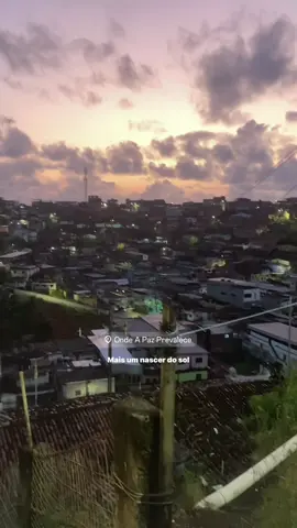 🕊️ 🚩