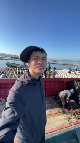 Chịu Khó Mà Học Anh em Nhé  #xuhuong 