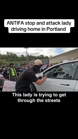 #stitch with @Nick Shirley 