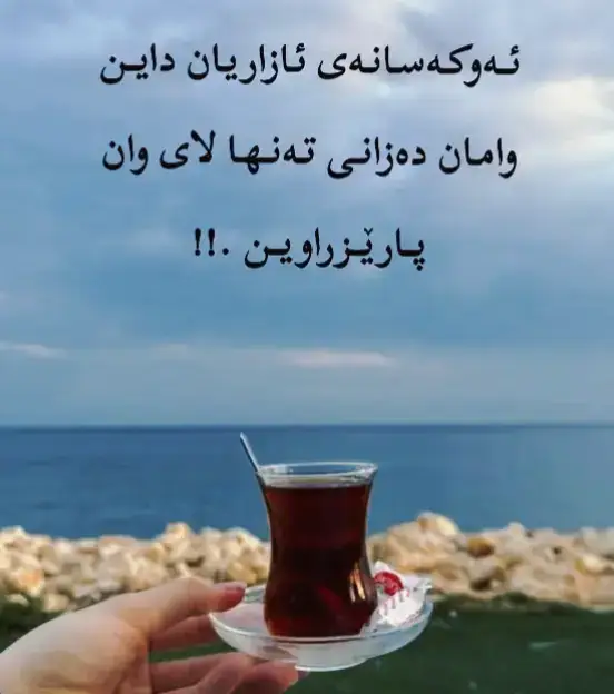 #creatorsearchinsights #arbil_iraq_sulaymanya_duhok_karkuk #هەولێر_سلێمانی_دەهۆک_ڕانیه_کەرکوک_کەلار 