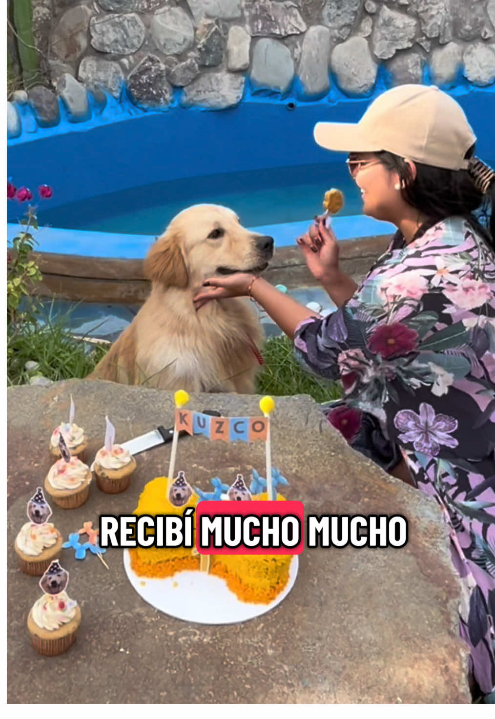 Buscas donde celebrar el cumpleaños de tu perro en Lima @Hacienda El Champal Mi pastel de @fantastidog_vetblog y los cupcakes de mis humanos fueron de @Fancy Bakery Perú 🇵🇪 