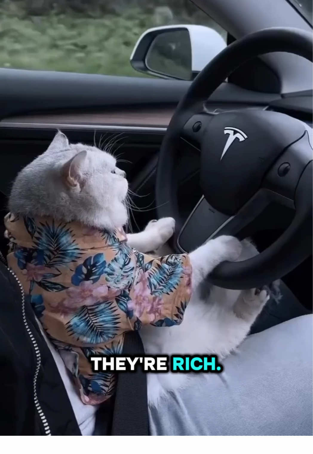 5 Reasons Why People Keep Buying Tesla #tesla #cars #electriccar 