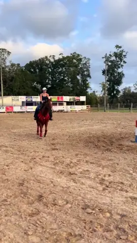 rank luh chief. got 2 weeks to figure this guy out but i’d say tonight’s first ride went well. thanks to @sarah g @Saylor for trusting me with this boy 